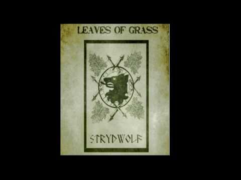 Strydwolf   Blackened Day   Feat  The Pride of Wolves