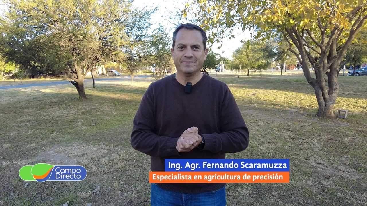 Campo Directo | Agricultura de precisión | Decisiones inteligentes para el cultivo de trigo