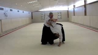 21. Ude Gatame