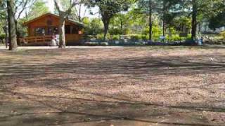 Download lagu free fall mp3 Download lagu free fall mp3
