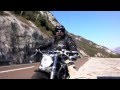Harley Davidson V-rod Easy Rider 
