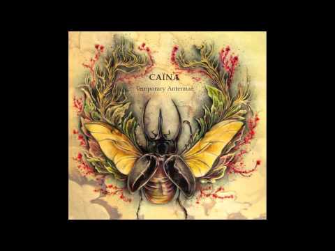 Caïna - Tobacco Beetle