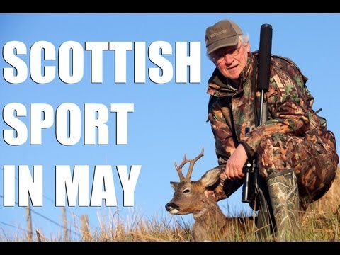 Fieldsports Britain – Scottish deer, pigeons and English foxshooting Fieldsports Britain – Scottish deer, pigeons and English foxshooting