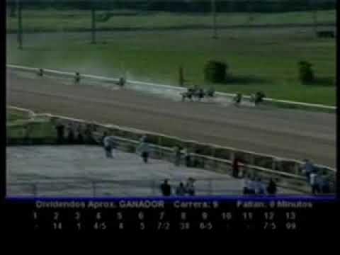 Resumen 9 de Octubre  2009 - Valencia