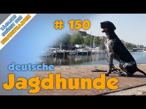TGH 150 deutsche Jagdhunderassen - Hundeschule Stadtfelle