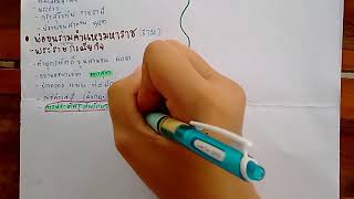 สรุป พระมหากษัตริย์ที่มีบทบาทในการสร้างสรรค์ชาติไทยpart1