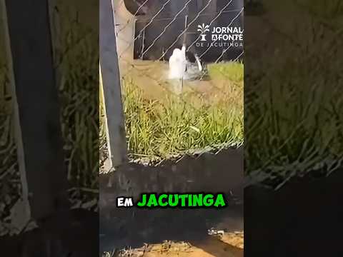O QUE ESTÁ ACONTECENDO NO BAIRRO ESTÂNCIA DOS VIEIRAS? #jacutinga
