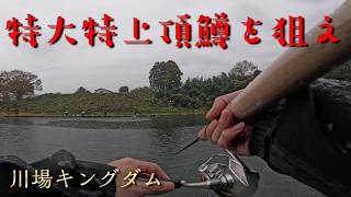川場キングダムで特大特上頂鱒を狙ってきた！！！銀鮭も釣ってみたい！！【エリアトラウト】【管理釣り場】【川場キングダムフィッシング】