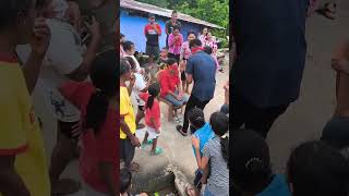 Download lagu Ranting zaitun mp3 Download lagu Ranting zaitun mp3