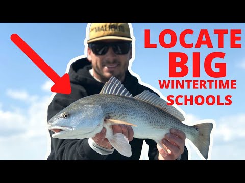 Fishing for redfish in the wintertime ~ how to locate big schools of redfish