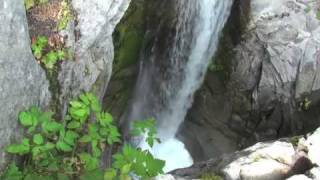 New Model Army - Living In The Rose - Vacation 2007- Part 7-Mt Rainier.mov