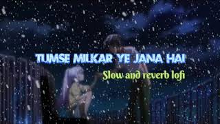 Download lagu Tumse milkar ye jana hai slow and reverb lofi.👥❤️♥️☺️😊 mp3
