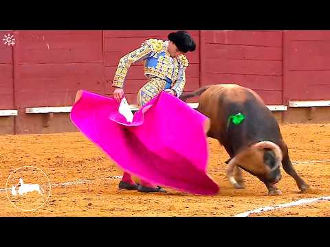 Roca Rey, Fortes y Juan Ortega, cartel de la corrida picassiana del Sábado Santo en Málaga