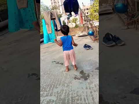 dog dance #funny #viralvideo #treanding #reels