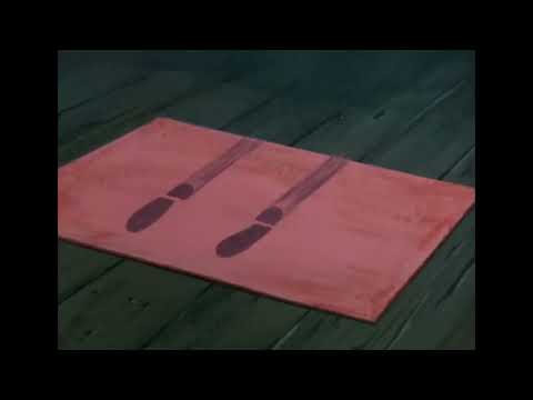 Shaggy Solves The Mystery