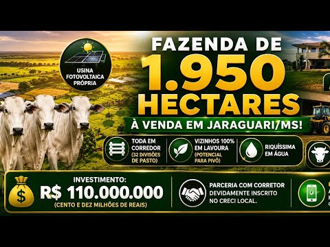 Fazenda à Venda em Jaraguari / MS - 1.950 Hectares Prontos (Com Gado e Maquinário)