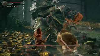 ELDEN RING　ガチ初見　新天地