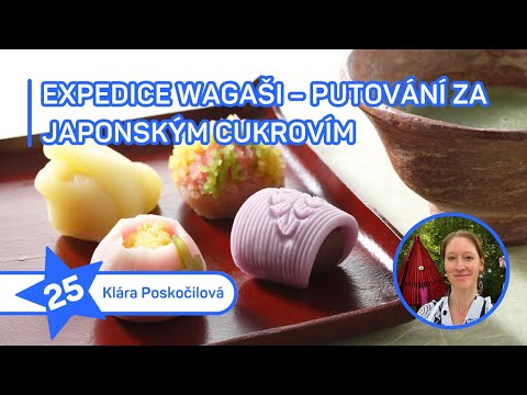  Expedice wagaši – putování za japonským cukrovím