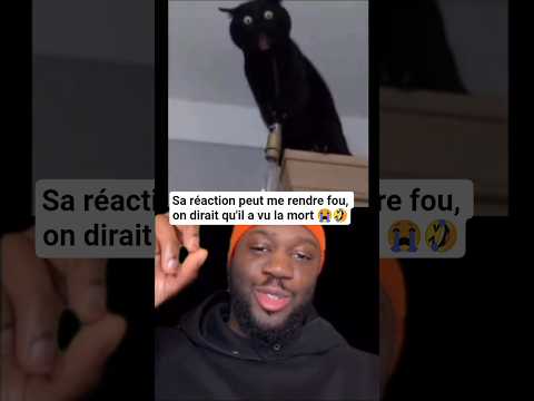 Le chat eu la frayeur de sa vie 😭🤣