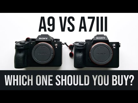Sony A9 vs A7iii