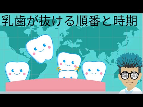 猫は何歳になると乳歯が抜けますか?