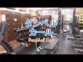 ダンベルカール(Dumbbell Curl)のやり方とフォーム