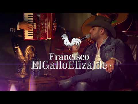 Francisco El Gallo Elizalde - Volveré A Amar