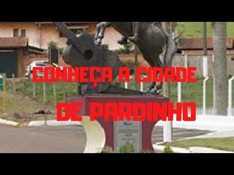 cidade pardinho São Paulo