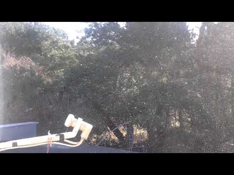 Jastrzebia Gora.Jak dobrze miec sasiada.#5,(marzec2020)