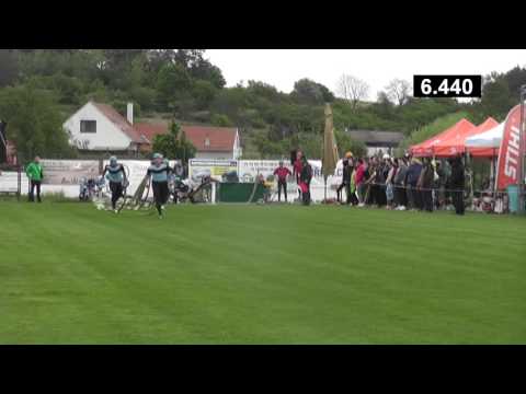 Pasohlávky v Trnavě 2017