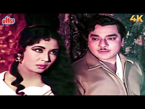 दिल के जज़्बात और अनकही मोहब्बत Meena Kumari-Pradeep Kumar के साथ Dil Jo Na Keh Saka Old Hindi Song