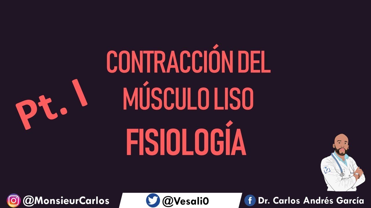 Fisiología - Contracción del Músculo Liso Pt. I (Clasificación, Actina y Miosina)