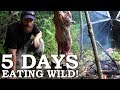 5 DAYS eating ONLY WILD FOODS! | Survival Challenge | The Wilderness Living Challenge 2017 SEASON 2