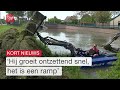 Exotische aquariumplant overwoekert singels en sloten | Omroep Flevoland