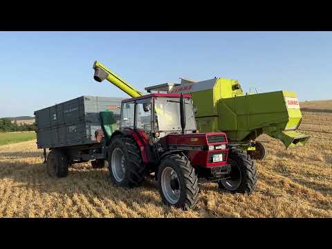 Case IH 833 & Claas Dominator 68 im Ernteeinsatz | Getreideernte mit Klassikern 🚜🌾