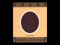 Swans - I See Them All Lined Up