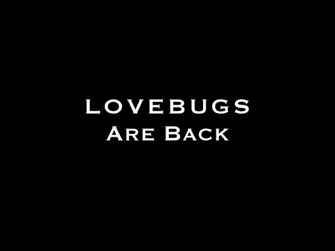 Lovebugs - Land Ho! [Album Trailer]