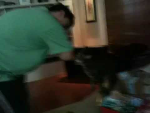 Miss Piggie and stinky face