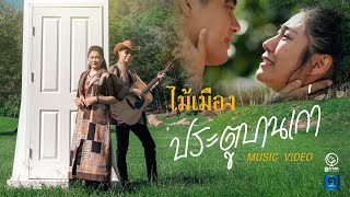 ประตูบานเก่า – ไม้เมือง