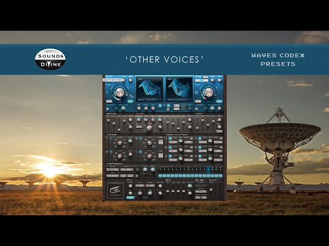 Soundsdivine 'Other Voices' - Waves Codex