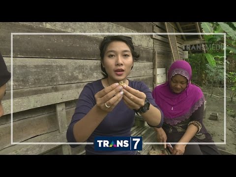 Hd porno penis kecil Aku berhenti efek pada potensi merokok