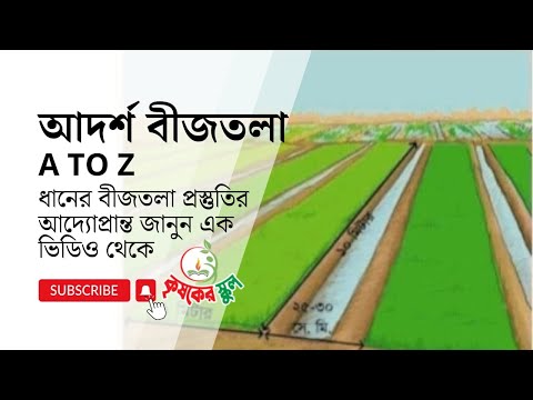 আদর্শ বীজতলা তৈরির নিয়ম