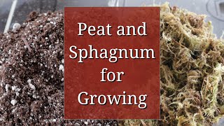 Peat and Sphagnum for Growing Plants