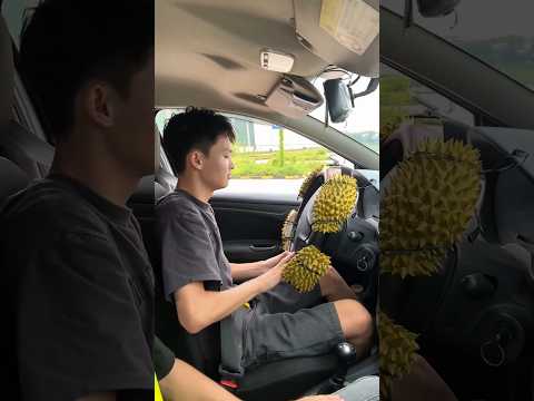He Put Spikes on the Steering Wheel #car