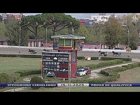 Aversa trotto 15 Novembre 2025 - 1° Prova di qualifica