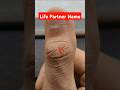 Life partner name on thumb 👍 #palmistry #palmreading