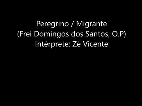 Migrante - Zé Vicente