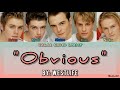 Obvious - Westlife (Color Coded Lyrics)