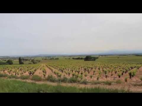 Peut-on faire plus vertueux que la Bio ? - Domaine l'Or de Line