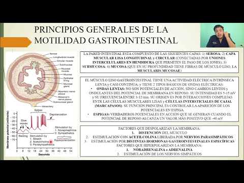 PHYSIOLOGY: GENERAL PRINCIPLES OF GASTROINTESTINAL FUNCTION: MOTILITY; NERVOUS CONTROL...